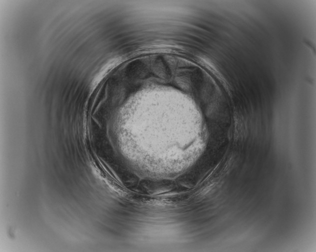 X0000101960994200808081524