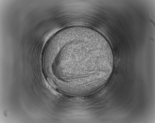 X0000101960995200808081524