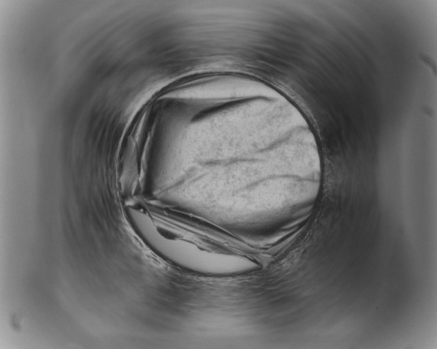 X0000101960996200808081524