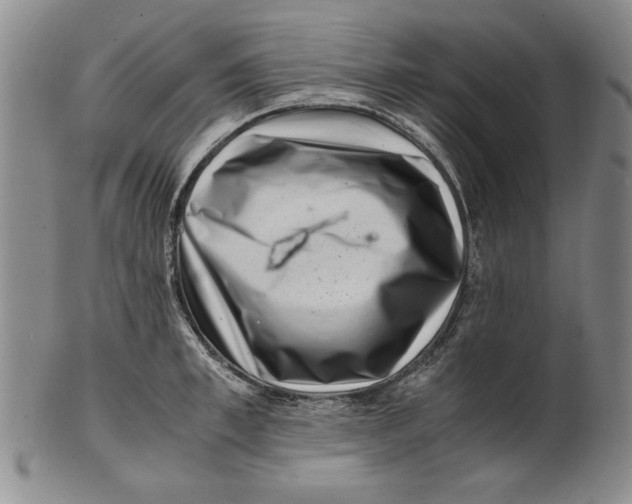 X0000101960997200808081524