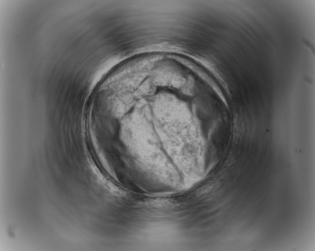 X0000101960998200808081524