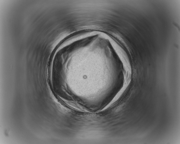 X0000101960999200808081524