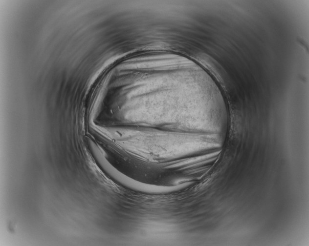 X0000101961000200808081524