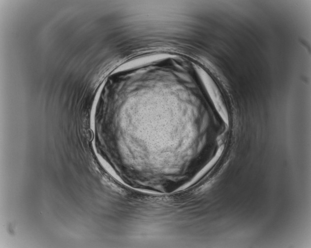 X0000101961001200808081524