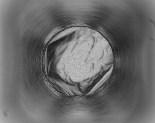 X0000101961002200808081524