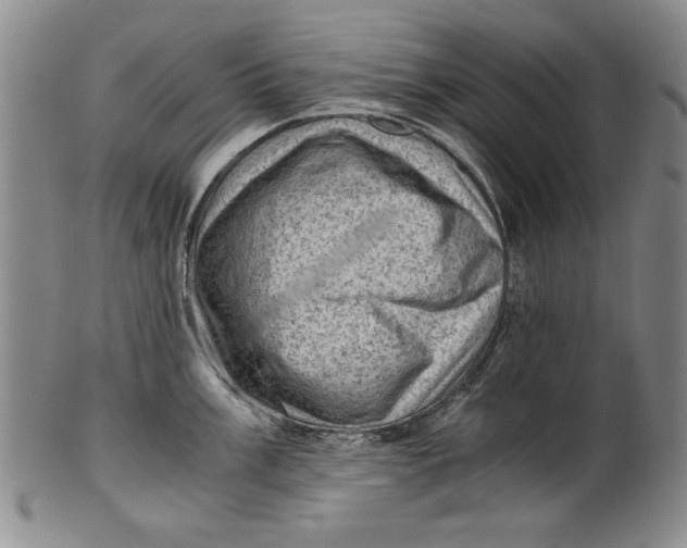 X0000101961003200808081524