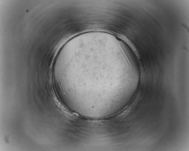 X0000101961004200808081524