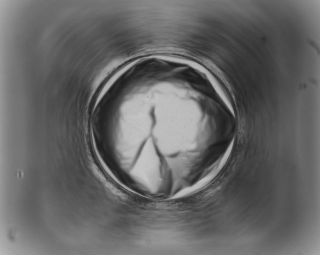 X0000101961005200808081524