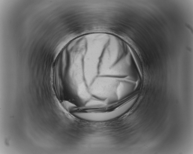 X0000101961006200808081524