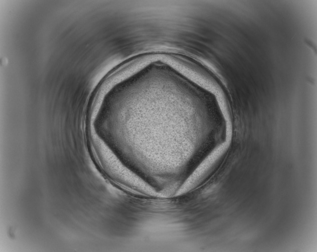 X0000101961007200808081524