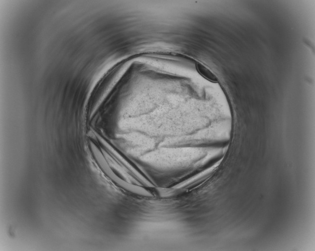 X0000101961008200808081524