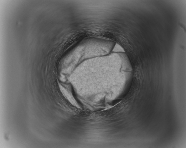 X0000101961009200808081523