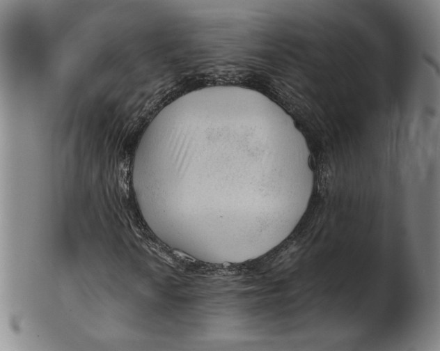 X0000101961010200808081523