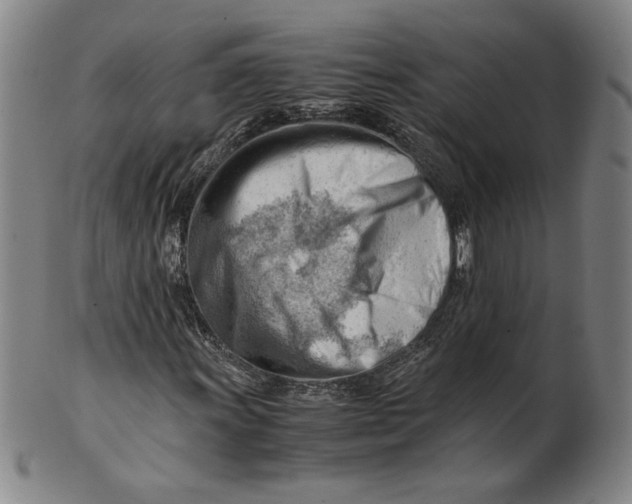 X0000101961011200808081523