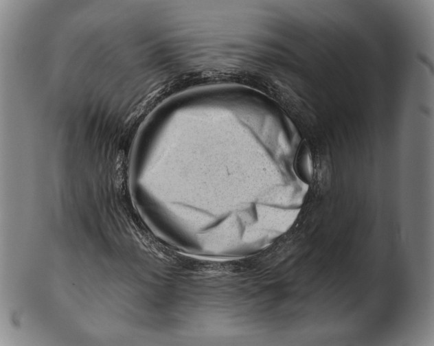 X0000101961012200808081523