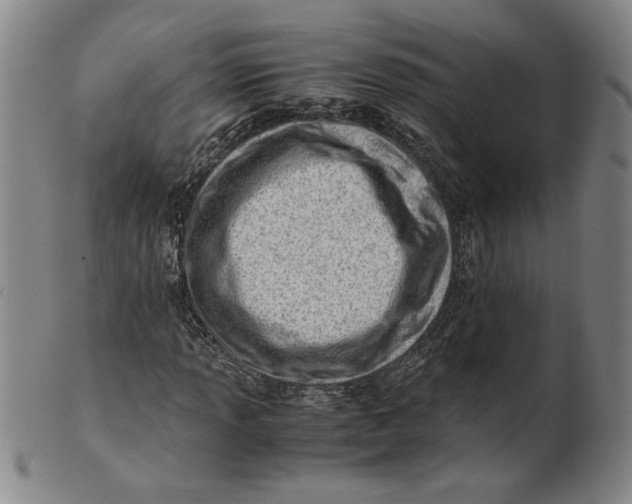 X0000101961013200808081523