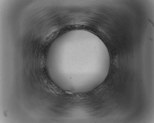 X0000101961014200808081523