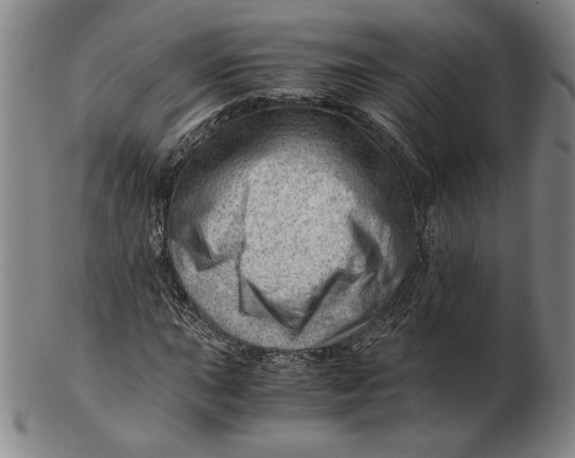 X0000101961015200808081523