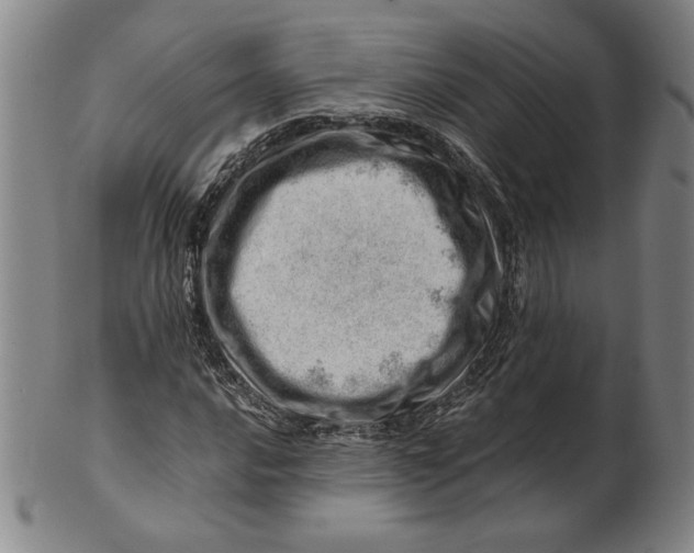 X0000101961016200808081523