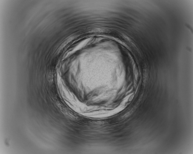 X0000101961017200808081523