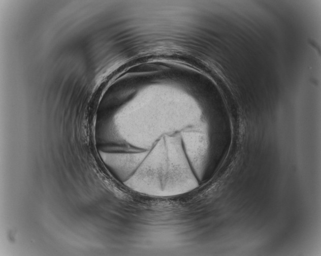 X0000101961018200808081523