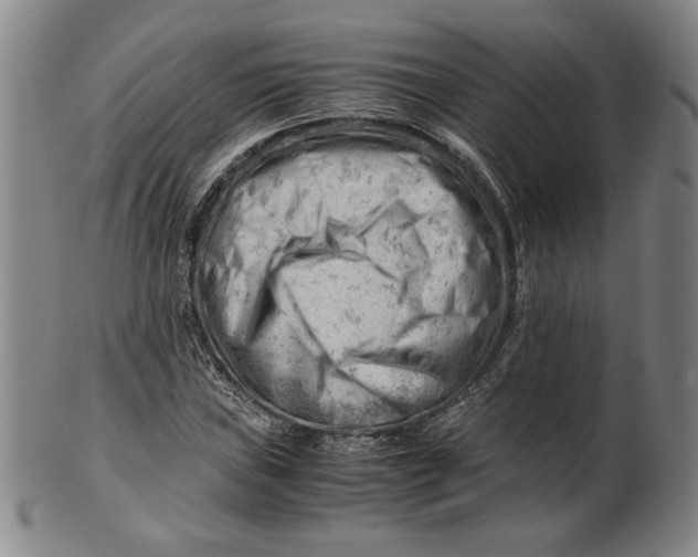 X0000101961019200808081523