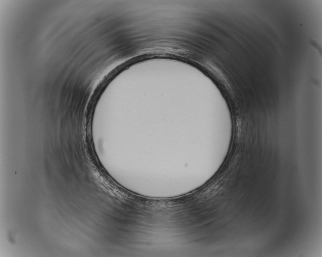 X0000101961020200808081523