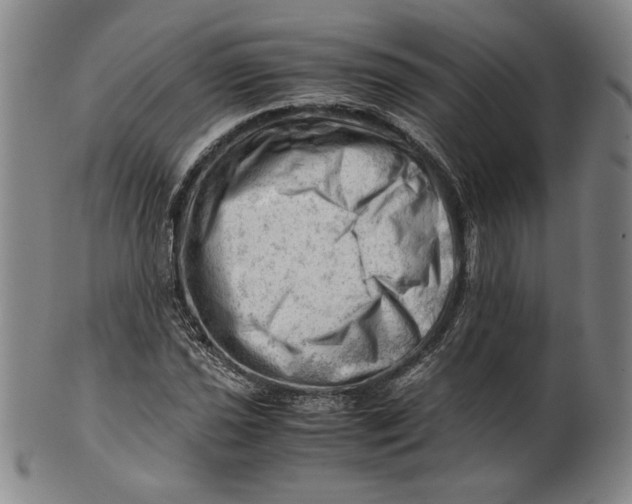 X0000101961021200808081523