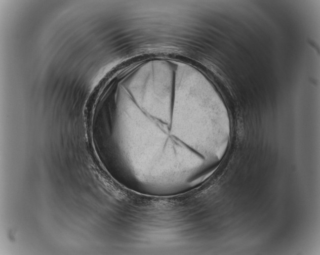 X0000101961022200808081523