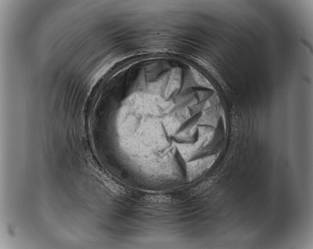 X0000101961023200808081523