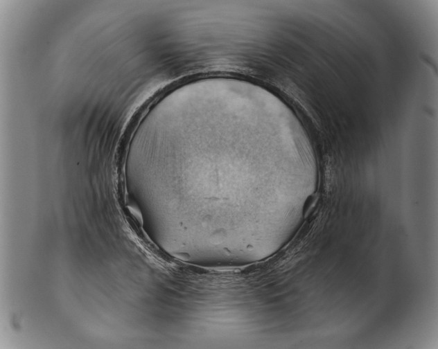 X0000101961024200808081523