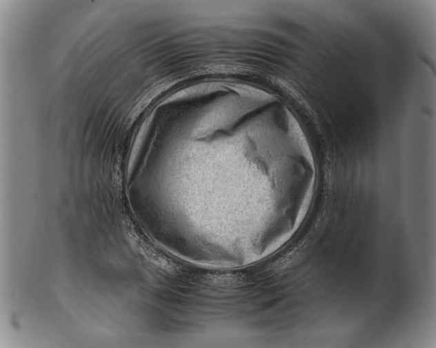 X0000101961025200808081523