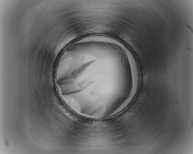 X0000101961026200808081523