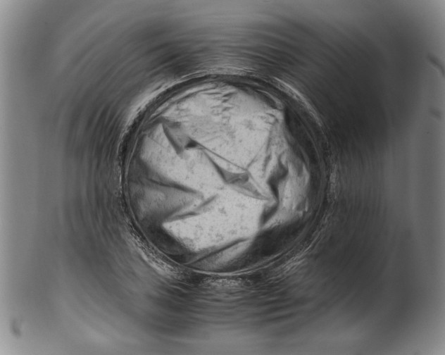 X0000101961027200808081523