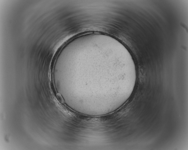 X0000101961028200808081523