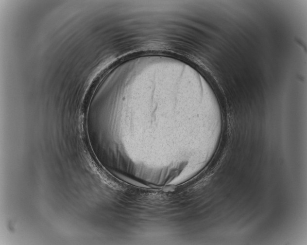 X0000101961029200808081523