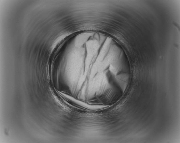 X0000101961030200808081523