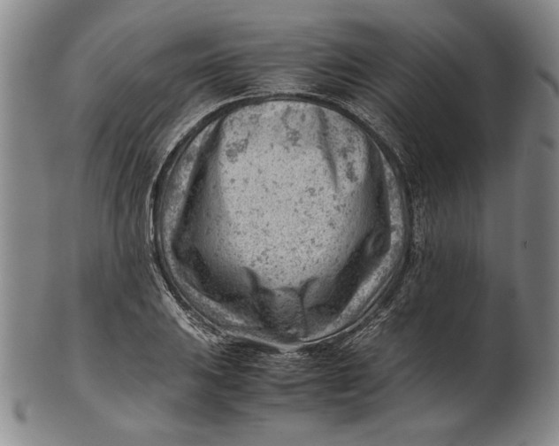 X0000101961031200808081523