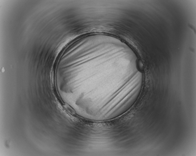 X0000101961032200808081523