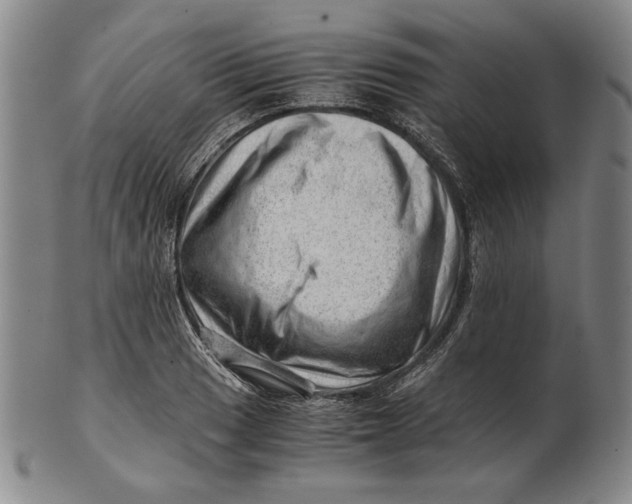 X0000101961033200808081523