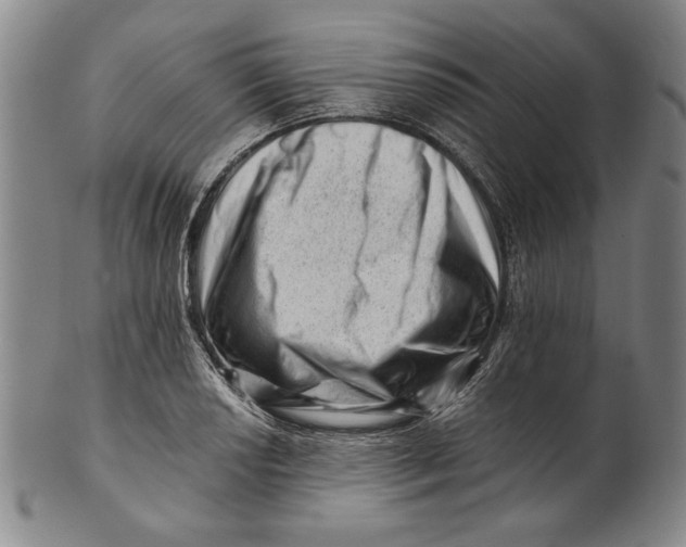 X0000101961034200808081524