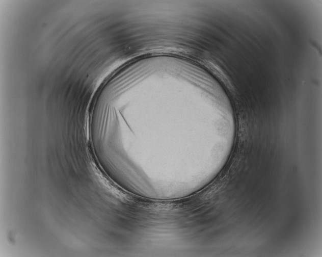 X0000101961036200808081524