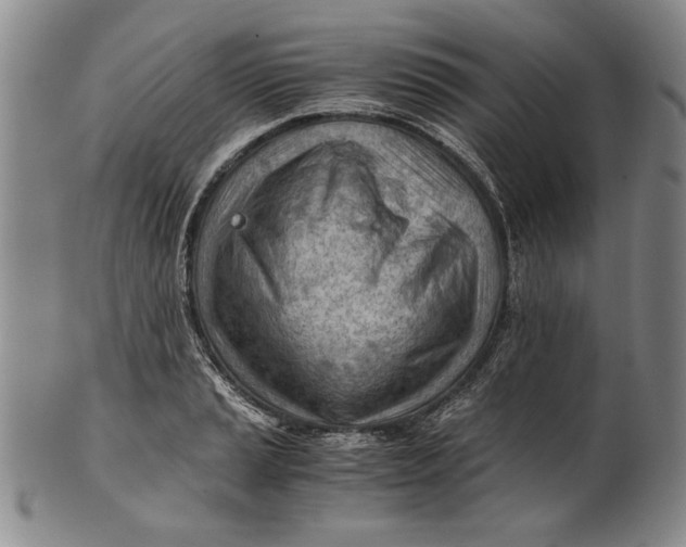 X0000101961037200808081524