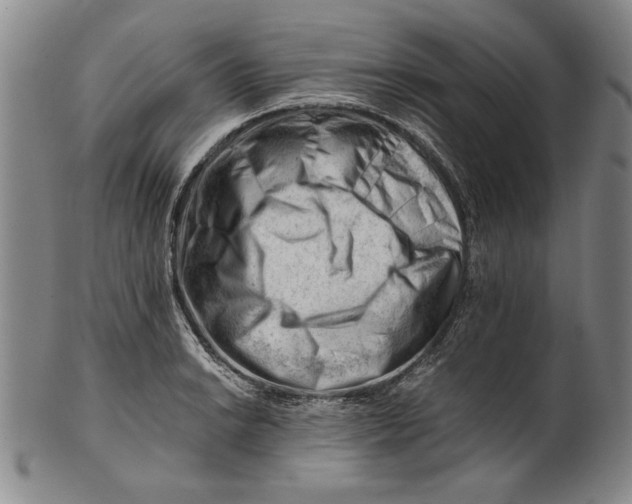 X0000101961038200808081524