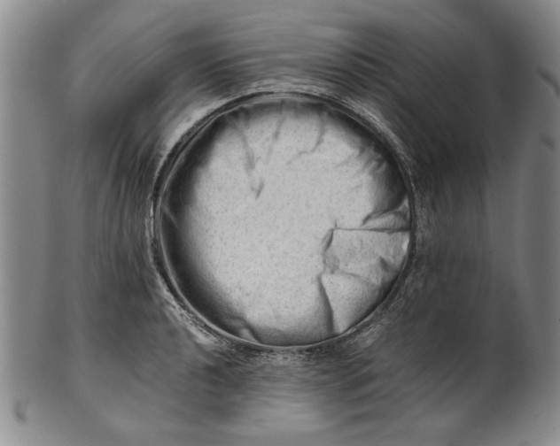 X0000101961040200808081524