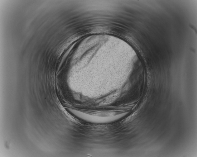 X0000101961041200808081524