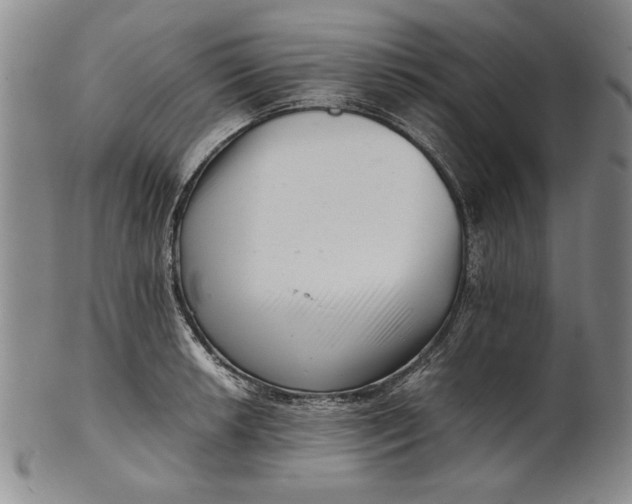 X0000101961042200808081524