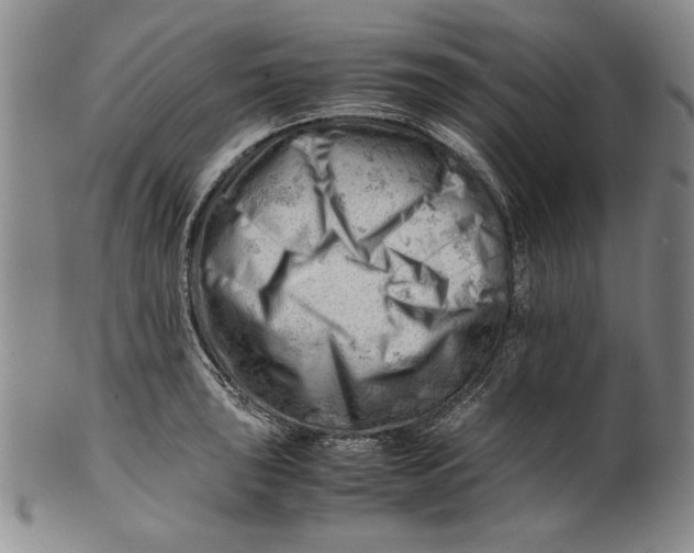 X0000101961043200808081524