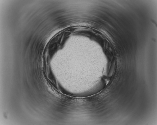 X0000101961044200808081524