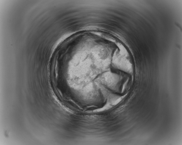 X0000101961045200808081524